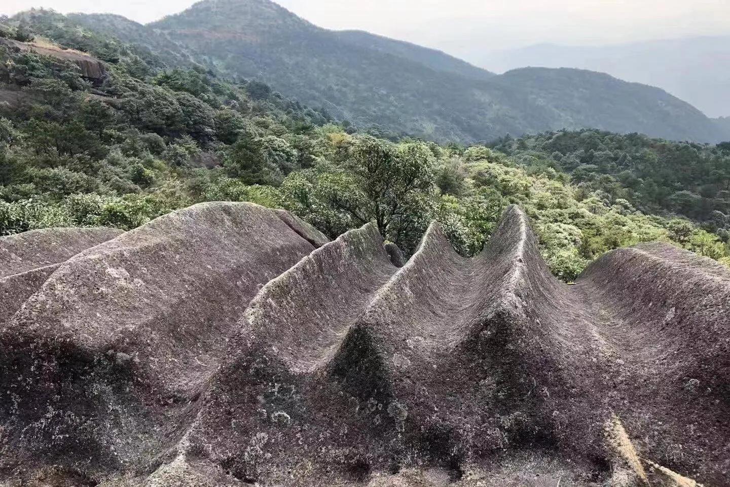 在十八股头山寻找“十二股头”