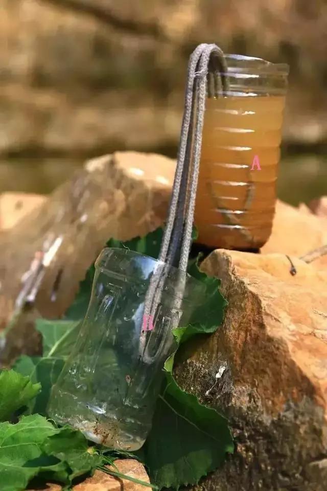 野外求生净化水的方法,野外生存取水的正确方法