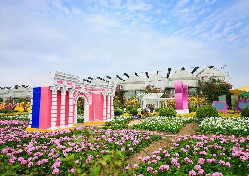 南沙百万葵园玩的景点推荐,广州南沙百万葵园