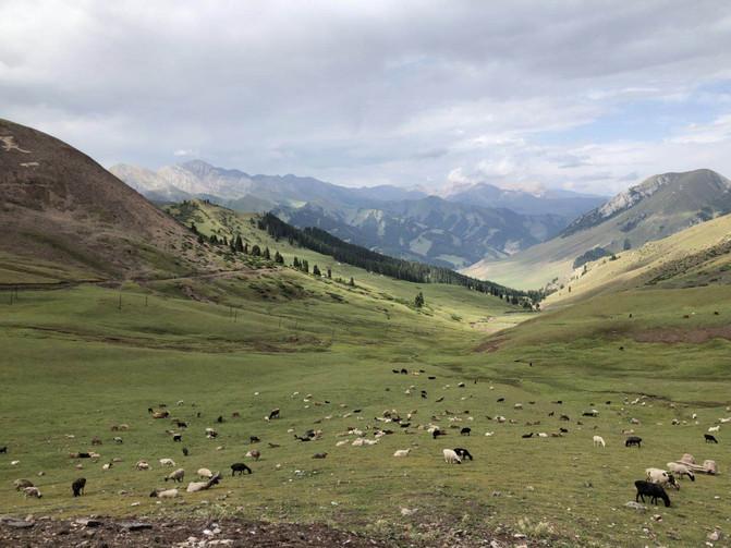 亲子游3天2晚郑州,暑假遛娃郑州