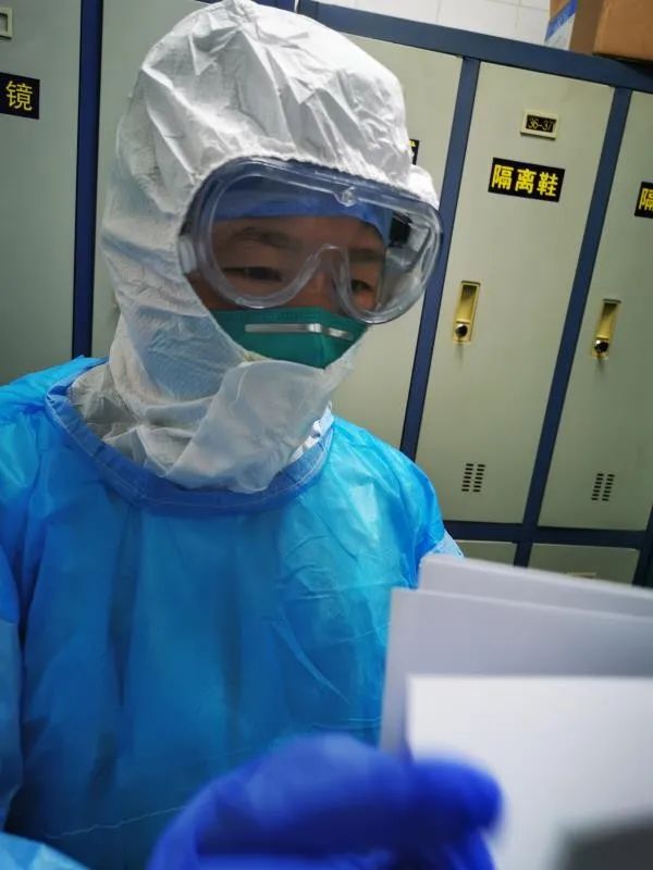 美丽迎春花开了,迎春花盛开的绝美春日盛景