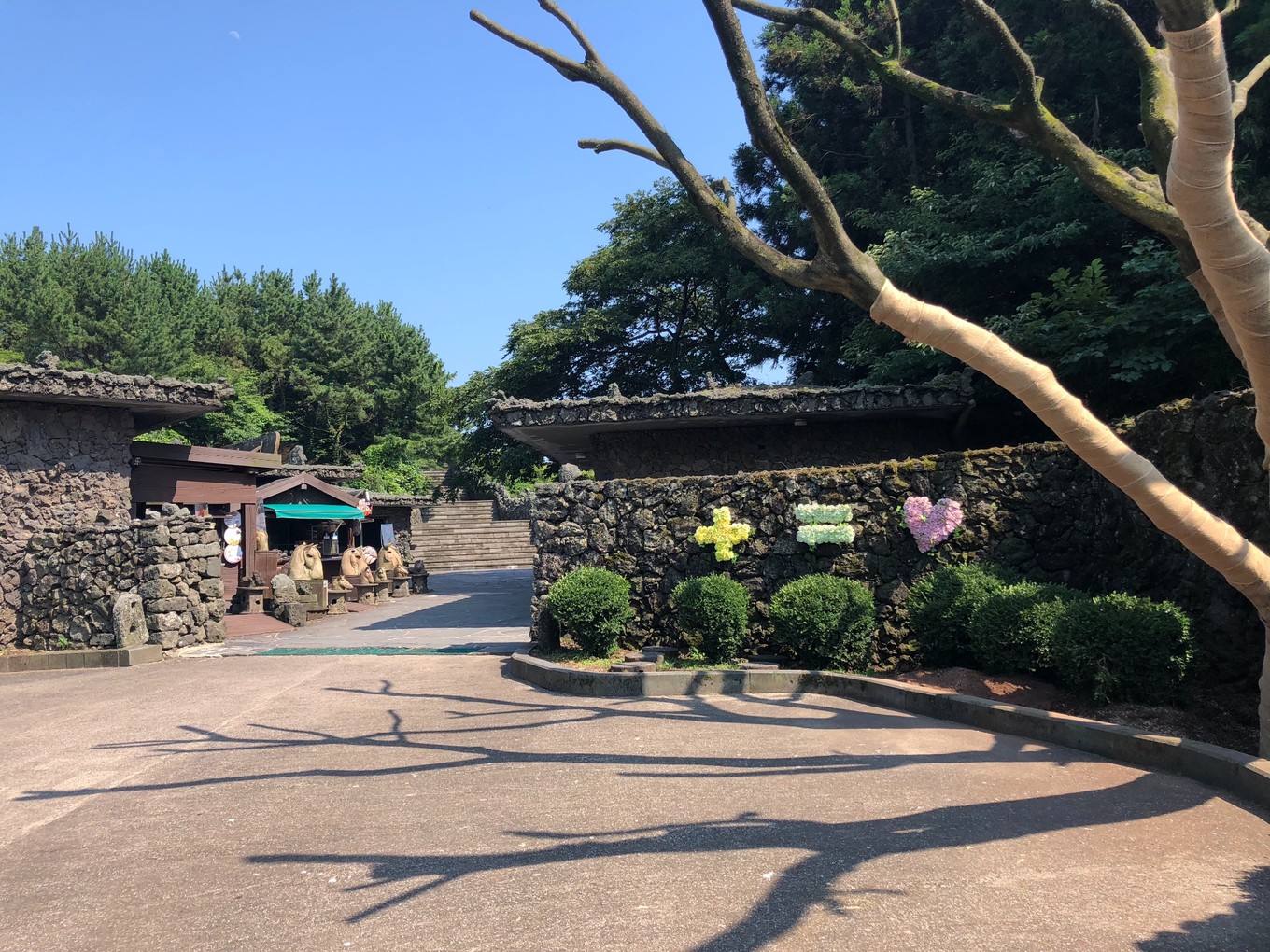 不会韩语去济州岛怎么自由行,济州岛两天旅行攻略