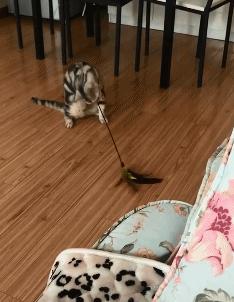 吃火锅搞笑的图片,吃火锅搞笑瞬间