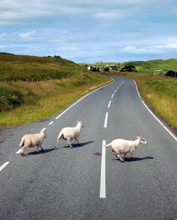 【你好Alba】怎么形容你动人的苏格兰！带你感受英国苏格兰的美