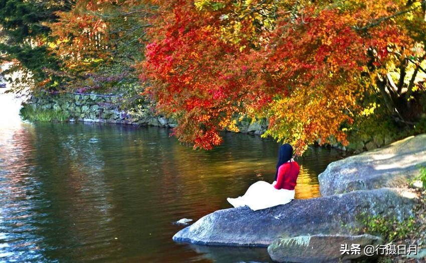 人间芳菲十月,人间四月芳菲尽硬笔楷书