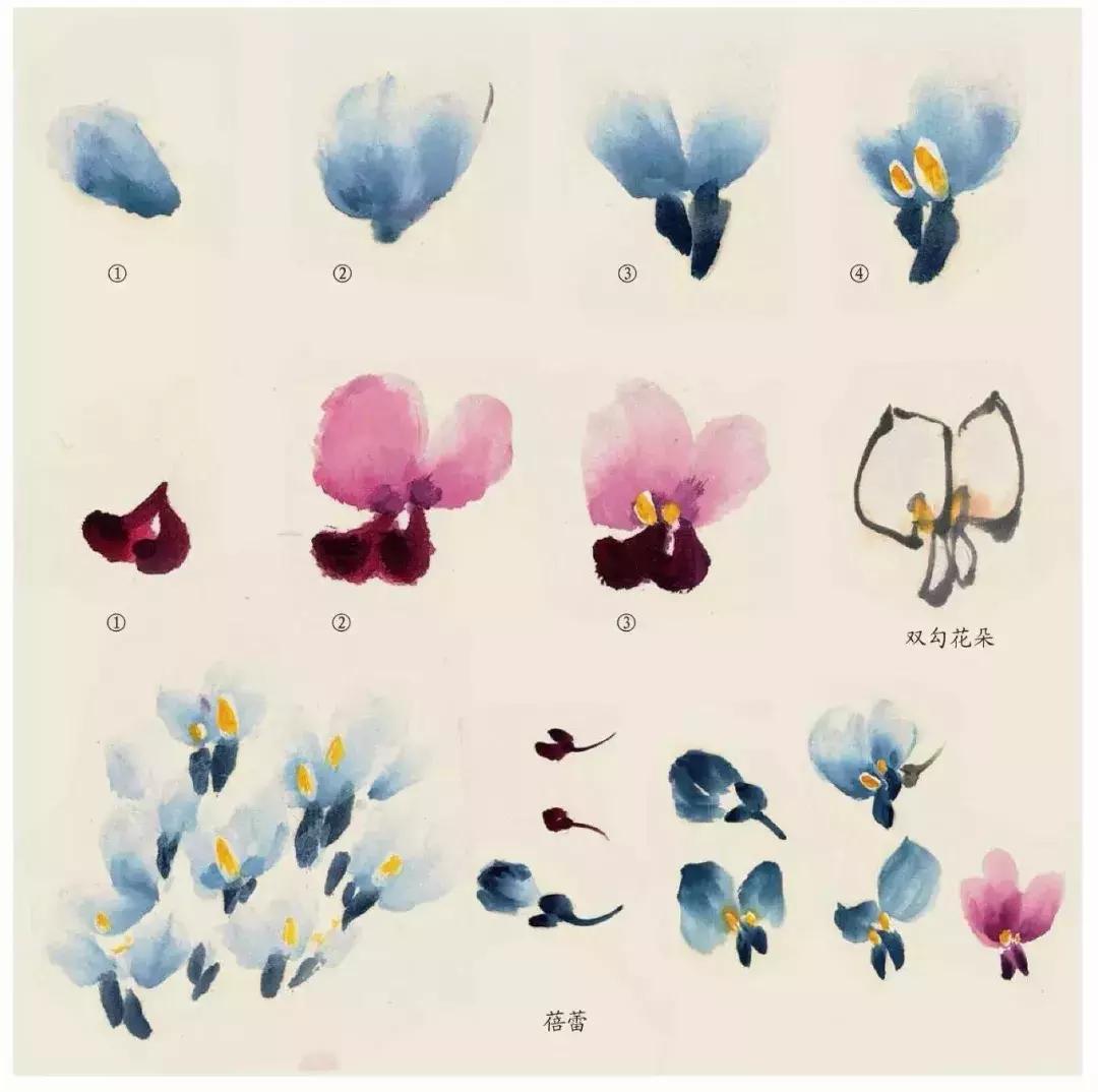 国画中各种花卉的画法,国画花卉画法步骤视频教程