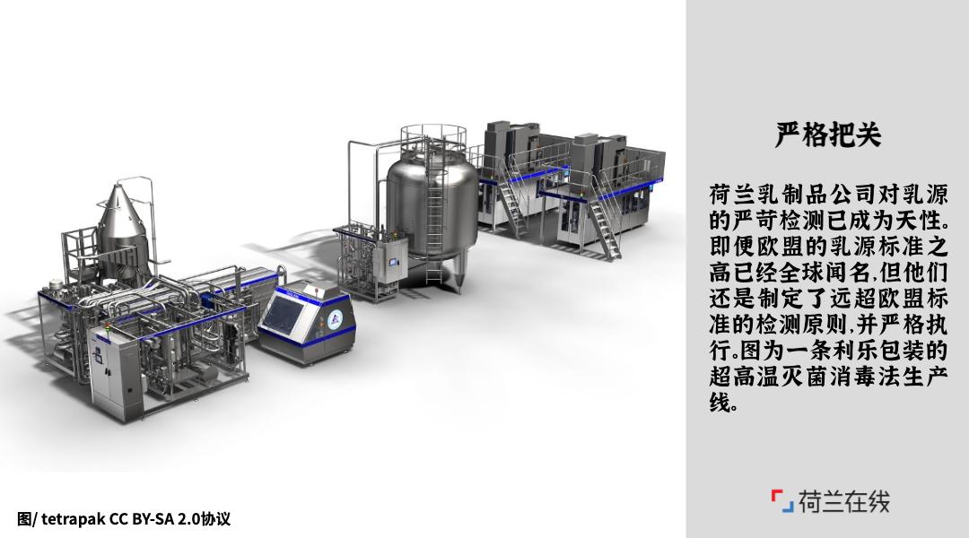 荷兰的食物有哪些,荷兰食物营养表