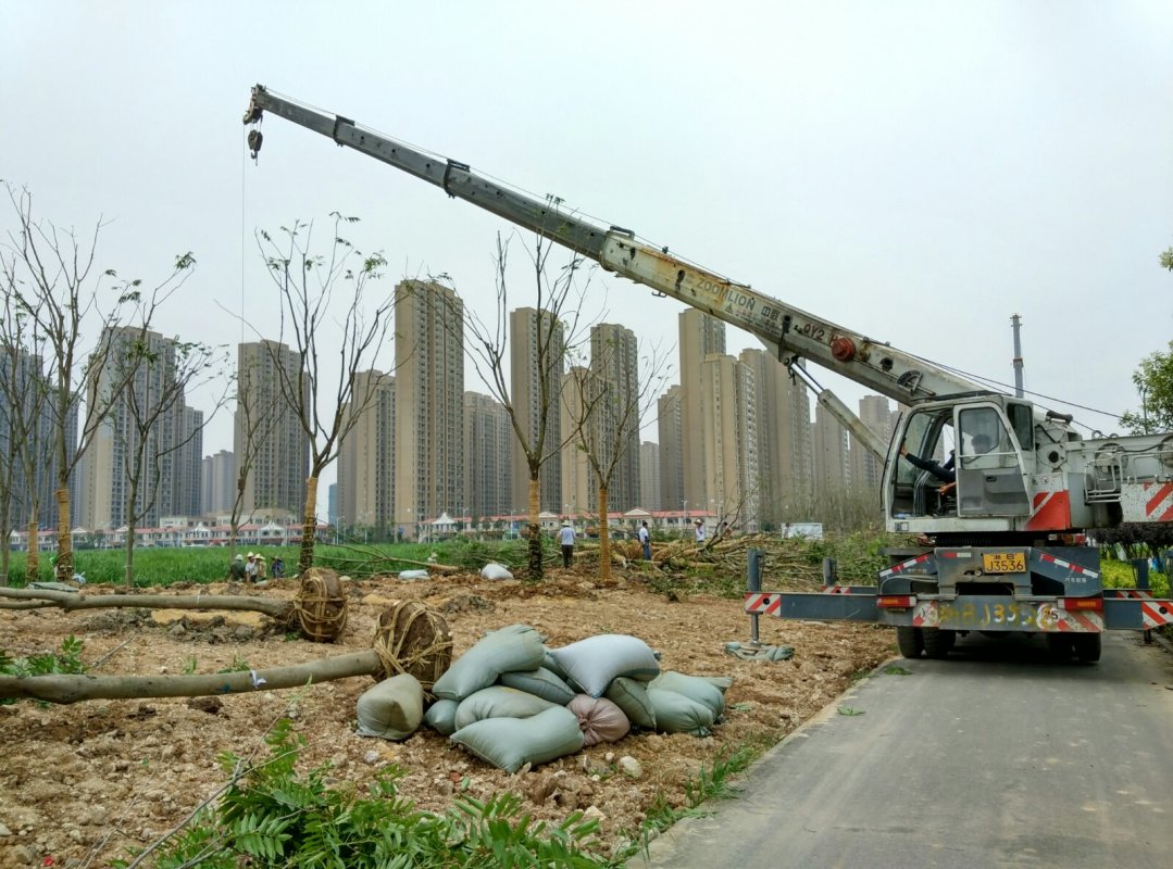 宁波杭州湾新区的房子值不值得买,宁波杭州湾新区最新进展