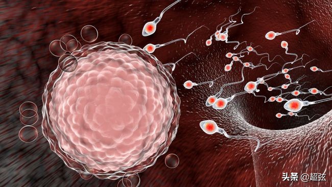 新型冠状病毒损害男性,男性冠状病毒的早期症状