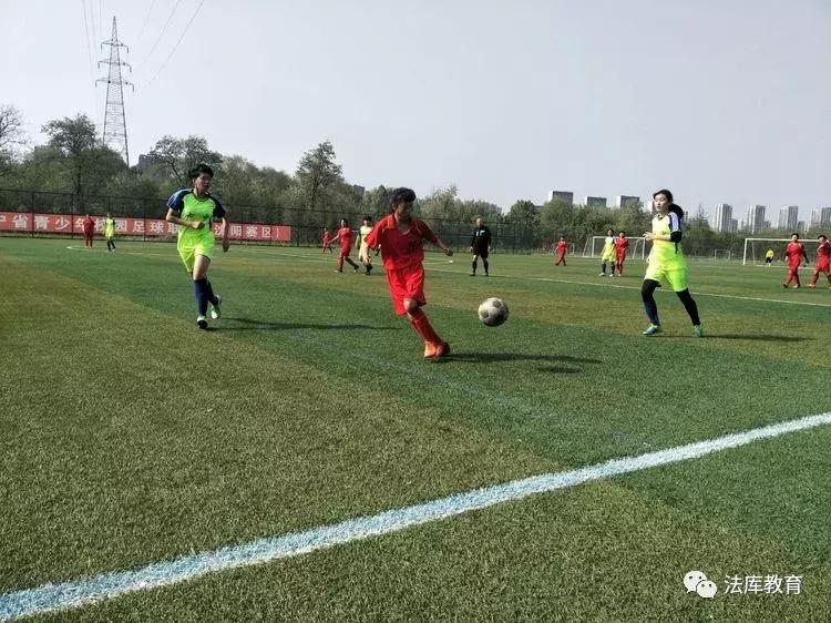 2019年沈阳市青少年校园足球比赛,2019辽宁省青少年足球锦标赛