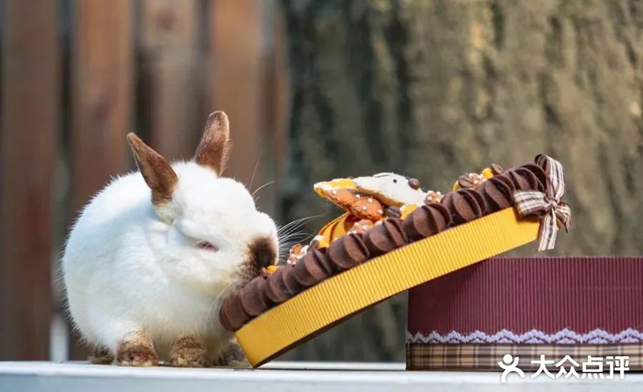 全国新开店铺,值得打卡的全国首店