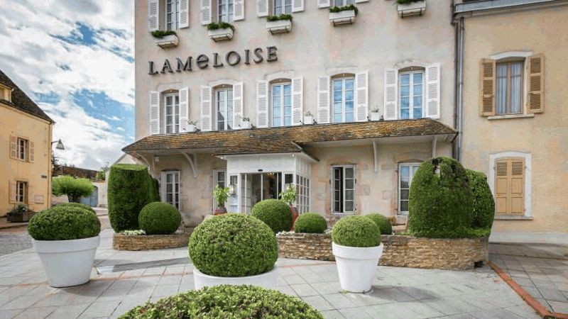 上海最贵的十大顶级餐厅排名,体验亚洲最贵的上海餐厅