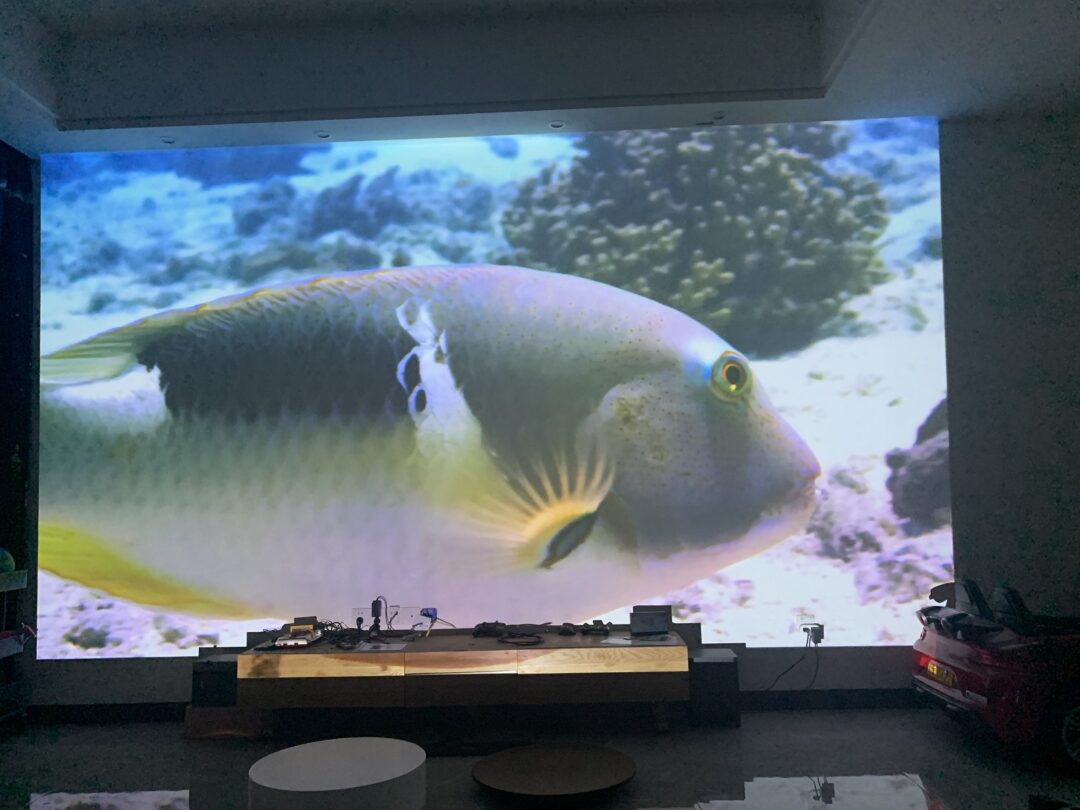 浼樻淳q10q30,浼樻淳q10濡備綍璁剧疆