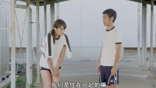 最火的十部动漫国漫,四大经典动漫日漫