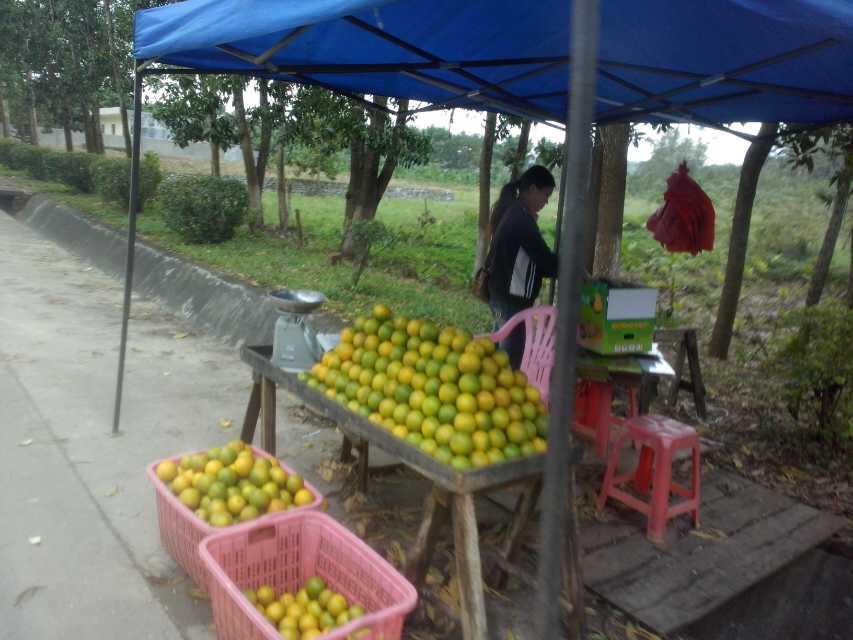 跨越山海而来自行车,跨越山海而来最感人的部分