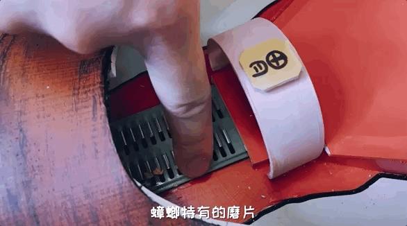 如何灭绝室内蟑螂虫卵,消除老房子蟑螂的方法