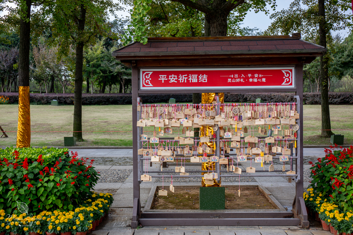 无锡灵山大佛抱佛脚视频,无锡灵山抱佛脚排队多久