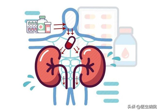 得了肾病还能根治吗？告诫：抓1个黄金期，做3控，或许还有机会