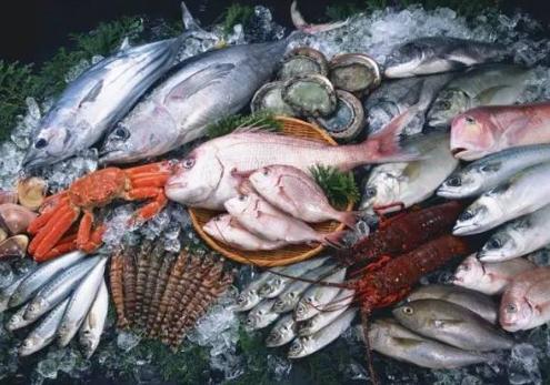 吃海底捞最好的海鲜,海底捞吃的海鲜