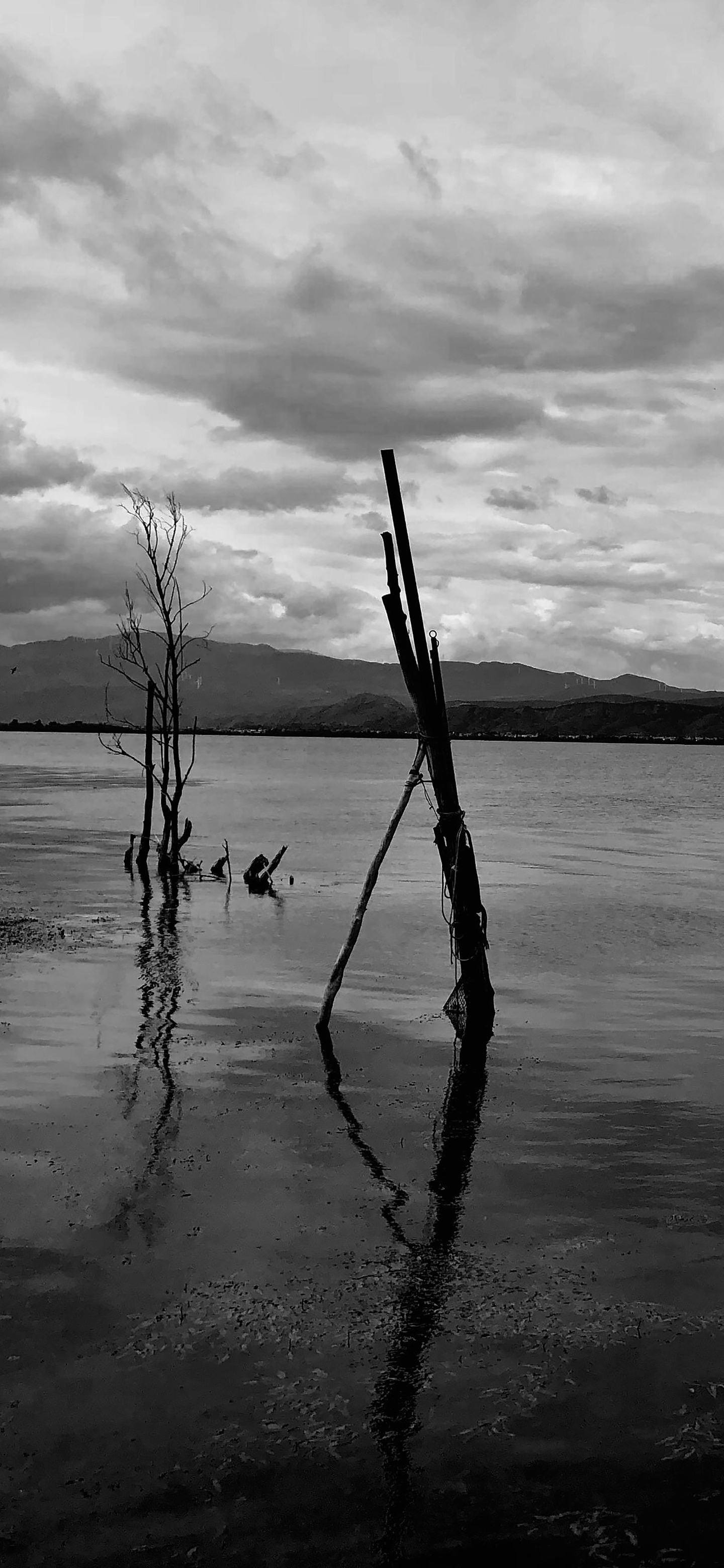 壁纸仙女绿色系护眼壁纸套图,各种高清护眼壁纸