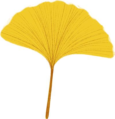 雁过留声02,雁过留声直播