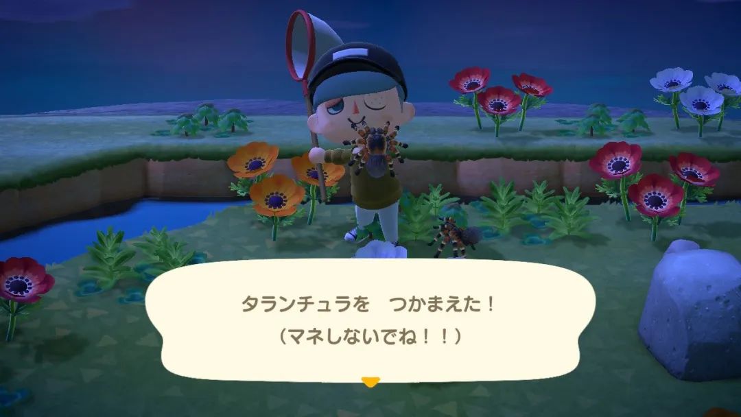 动物之森公主裙设计,动物之森设计和服