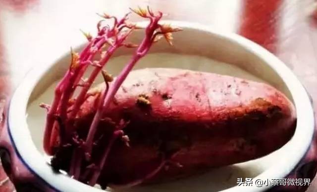 吃完的水果种子不要丢,吃完水果果核别扔