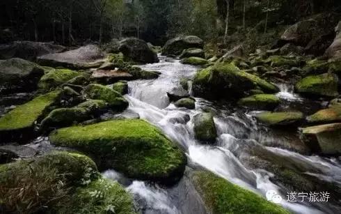 遂宁5天旅游攻略,遂宁旅游攻略自由行攻略