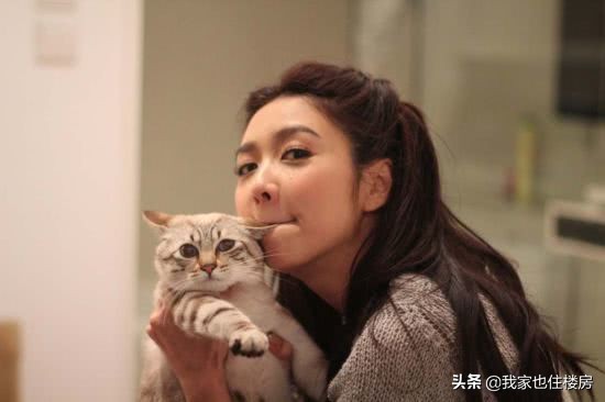 “小三”既开公司又投资房产，难怪房地产大佬不爱正室，更爱她