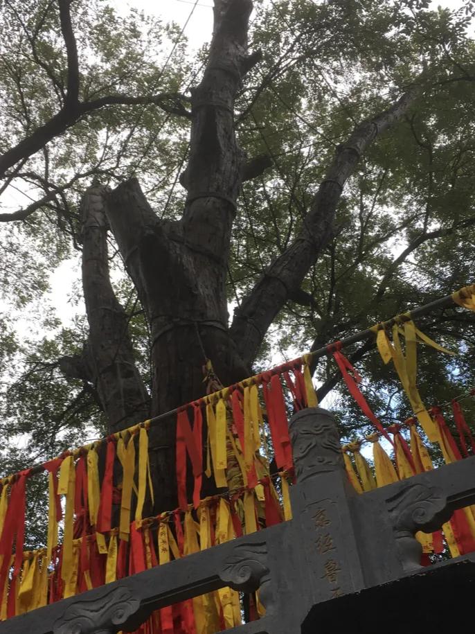 右脚小拇指指甲盖里有小黑点,右脚小拇指指甲盖变厚怎么治