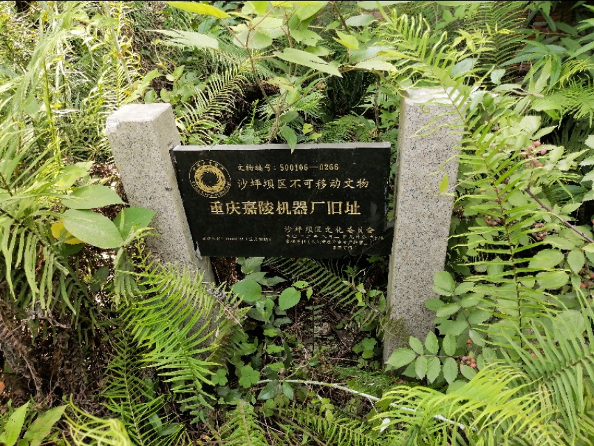 扫街日记100篇,扫街日记视频