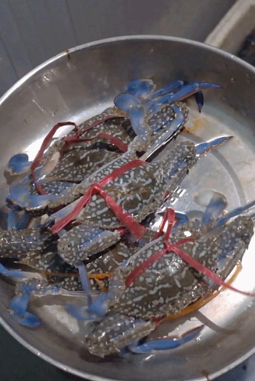 你愿意把夜晚交给谁？是舞台上的高跟鞋，还是大排长龙的宵夜摊