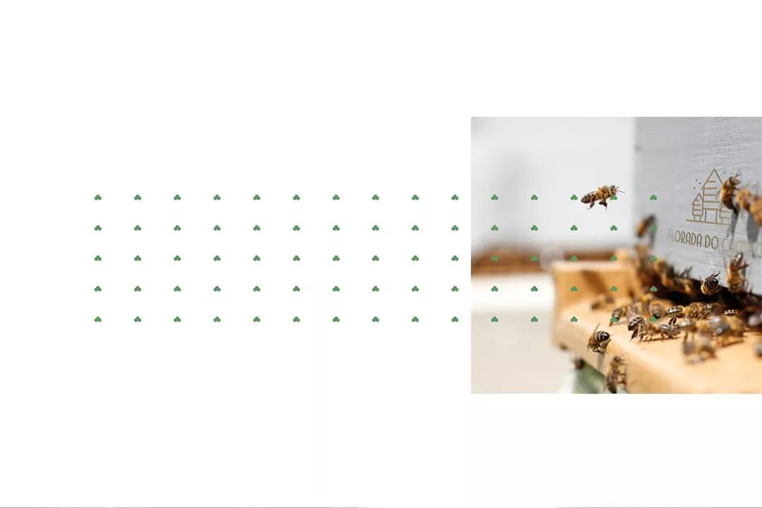 FloradadoCampo：蜂蜜包装设计