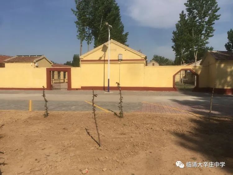 临清市大辛庄小学校长和幼儿园园长参观大辛庄中学疫情防控情况