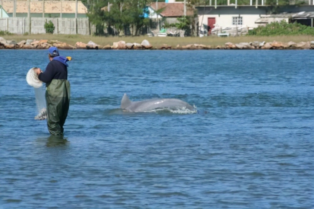 巴西2013图片大全,神奇的巴西