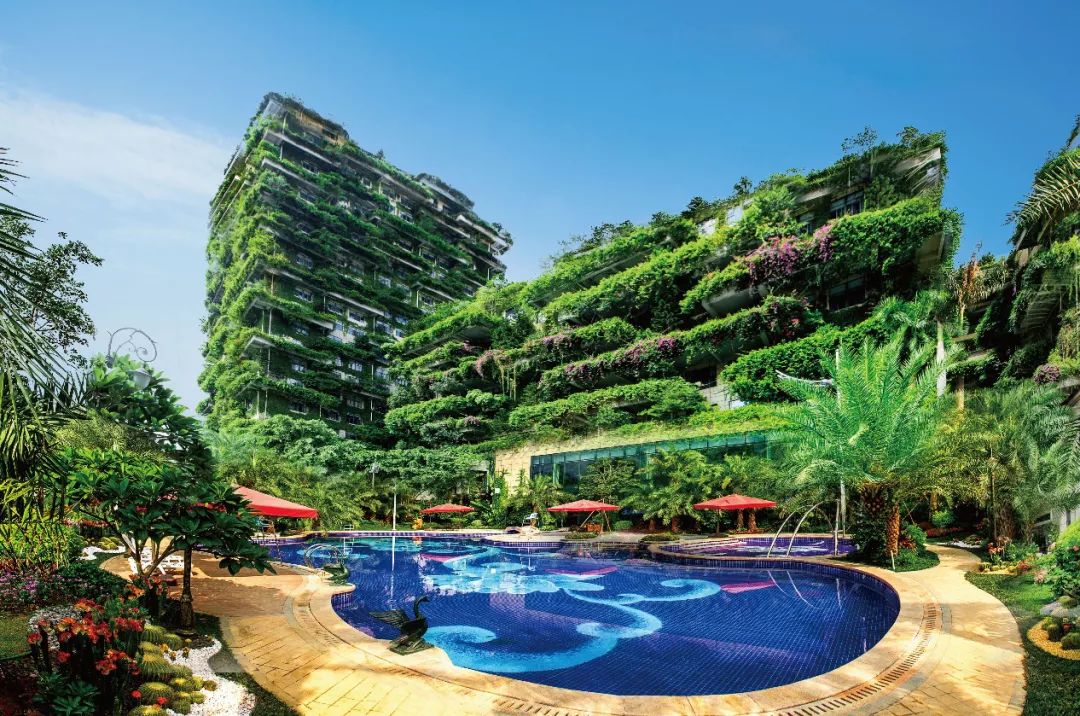 碧桂园文化丨在“福布斯最佳雇主”上班是什么感受？