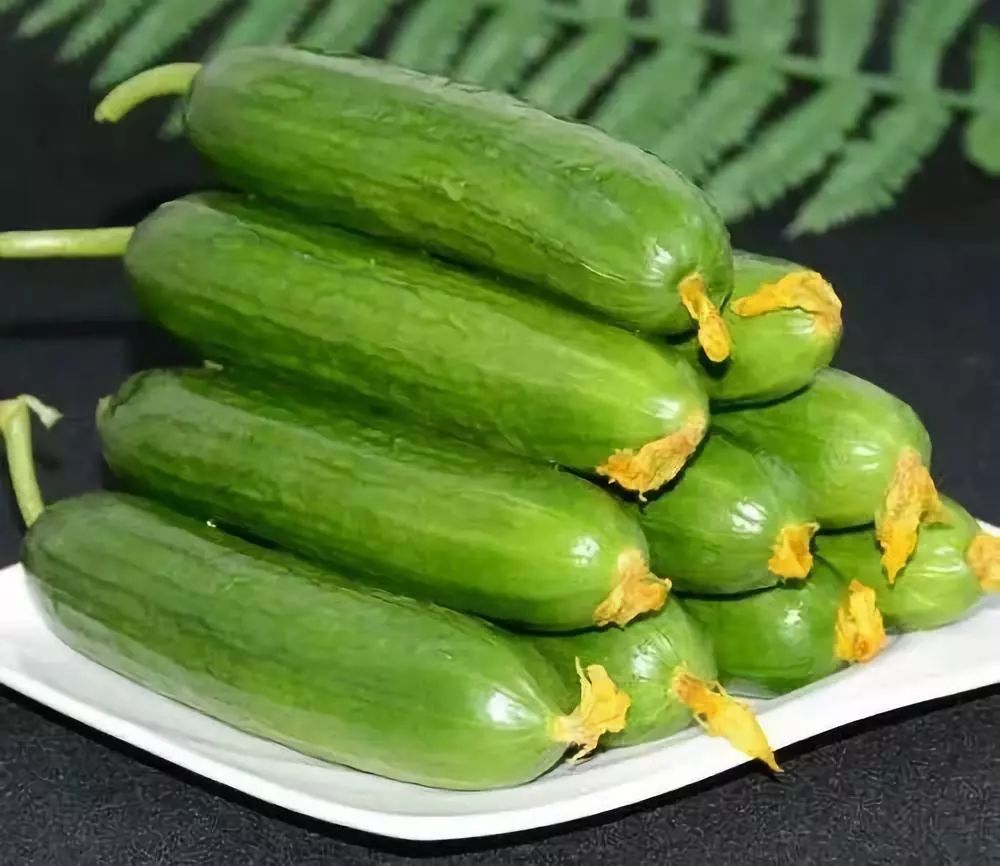 种植业一亩利润20万元,种植赚钱方法教程简单易学