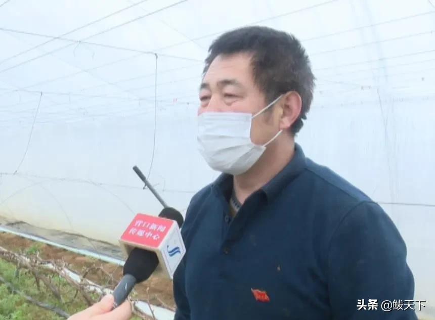 沿滩党员干部奋战一线抗疫保春耕,抗疫与春耕生产党员大会