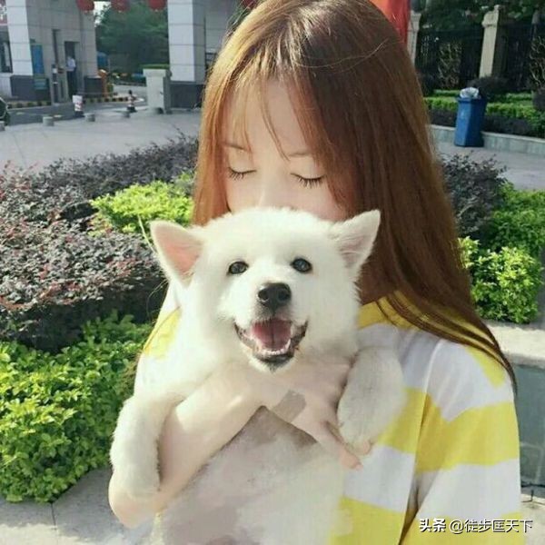 危情实录漂亮女房东是哪集,漂亮女房东收租完整版