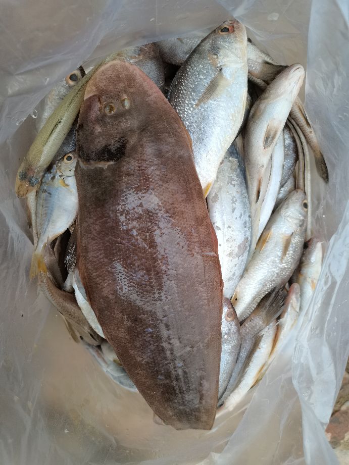 直播包网捕鱼真实性,深海包网捕鱼视频全集