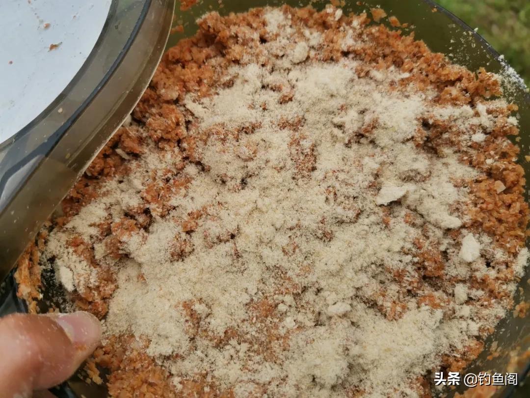 夜钓鱼口不好用什么饵料,晚上钓鱼饵料怎么搭配