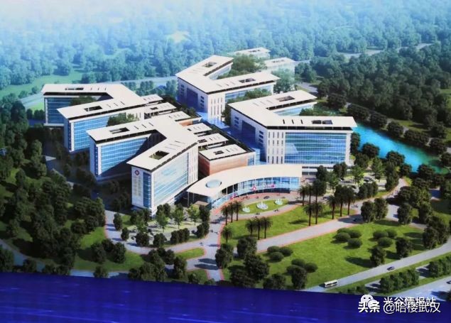 光谷这边有哪些三甲医院,光谷中心城有哪些三甲医院