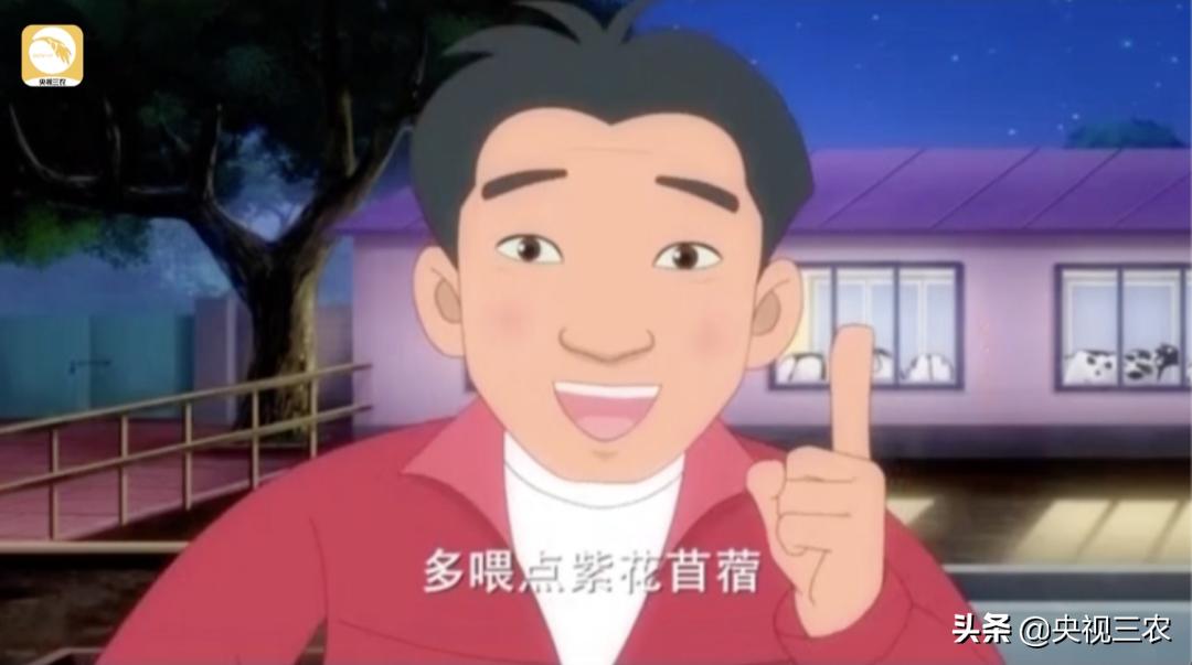 奶牛不孕症最佳治疗方法,奶牛受胎率低什么原因