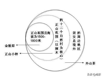 都说它是红茶中的黑马?