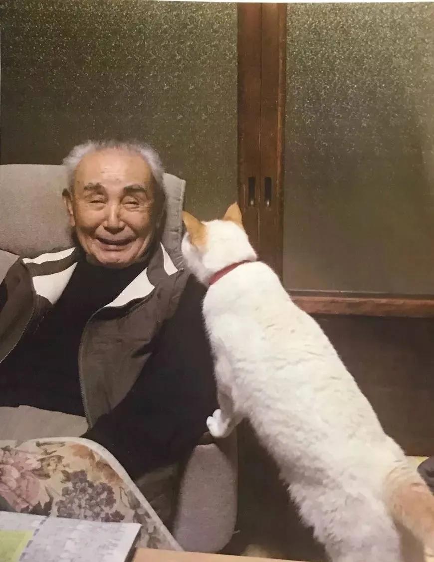 暖哭!90岁奶奶用废报纸作画,震撼数万网友:我缺的是纸吗?是手