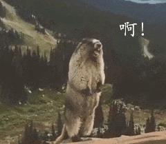 老奶奶打痧放血,100岁奶奶用针刺刮痧