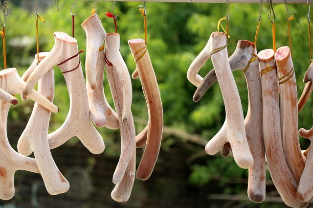 中医肾虚食补真的有用吗,肾虚吃了滋补的中药多久有效果