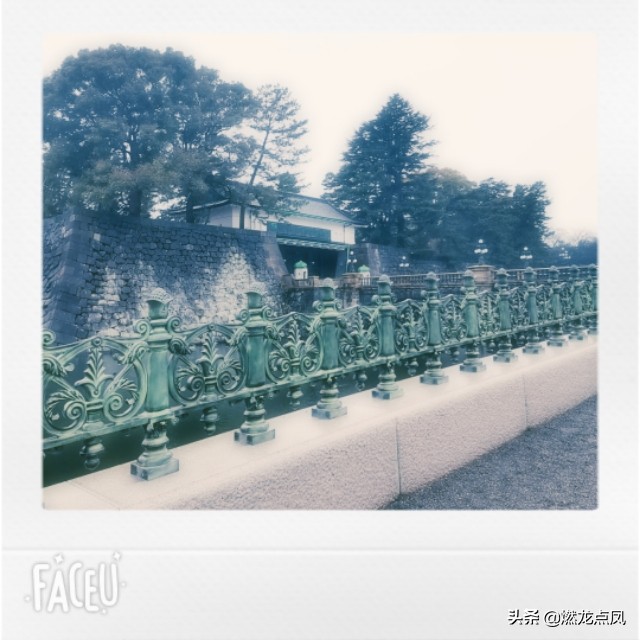 燃龙点凤带你鼠年春节玩日本东京名胜古迹