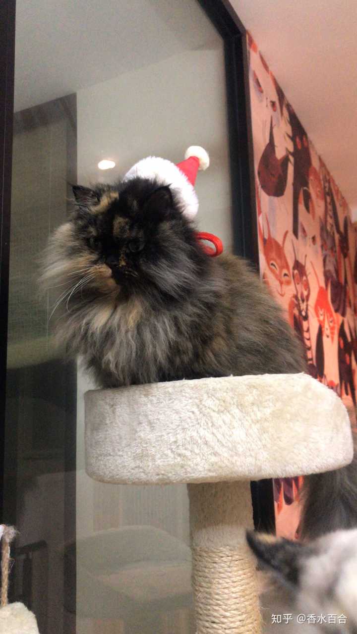 买了高层的人怎么样了,买了顶楼的房子后悔了吗