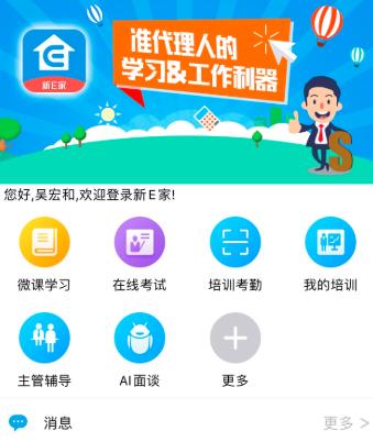 其它—如何评价平安保险的新网络行销：平安金管家、新E家